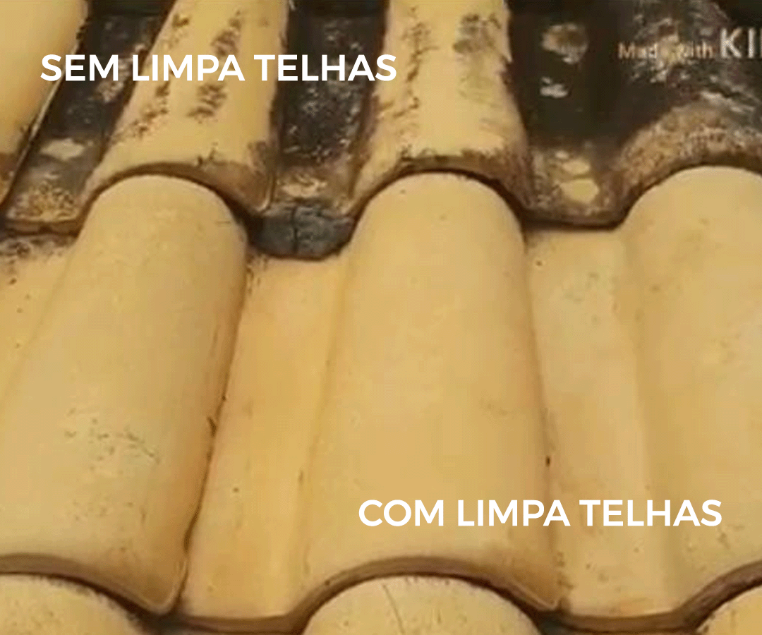 Resultado de verdade